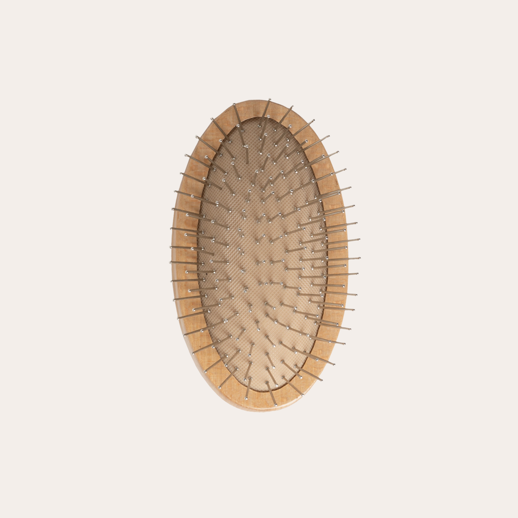 Scalp Brush